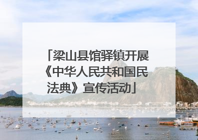 梁山县馆驿镇开展《中华人民共和国民法典》宣传活动