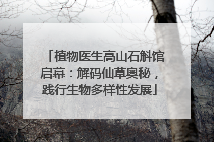 植物医生高山石斛馆启幕：解码仙草奥秘，践行生物多样性发展