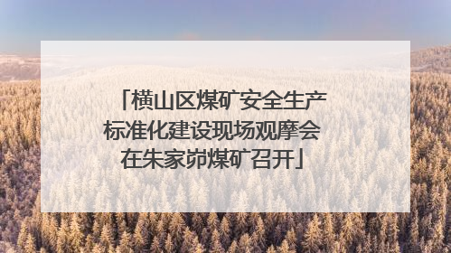 横山区煤矿安全生产标准化建设现场观摩会在朱家峁煤矿召开