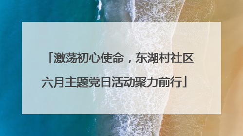激荡初心使命，东湖村社区六月主题党日活动聚力前行