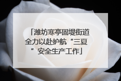 潍坊寒亭固堤街道全力以赴护航“三夏”安全生产工作