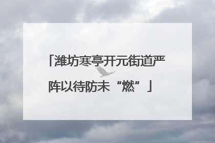 潍坊寒亭开元街道严阵以待防未“燃”