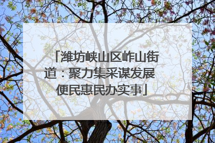 潍坊峡山区岞山街道：聚力集采谋发展 便民惠民办实事