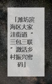 潍坊滨海区大家洼街道“三包三联”激活乡村振兴密码