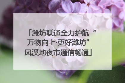 潍坊联通全力护航“万物向上·更好潍坊”凤溪地夜市通信畅通