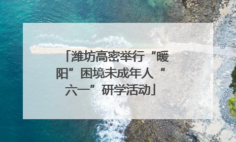 潍坊高密举行“暖阳”困境未成年人“六一”研学活动