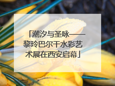 潮汐与圣咏——黎玲巴尔干水彩艺术展在西安启幕