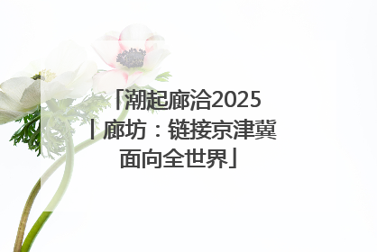 潮起廊洽2025丨廊坊：链接京津冀 面向全世界