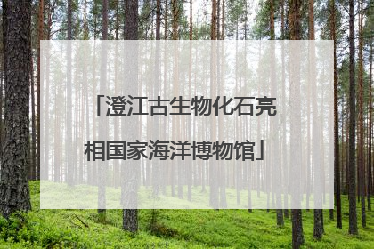 澄江古生物化石亮相国家海洋博物馆