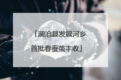澜沧县发展河乡首批春蚕茧丰收