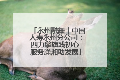 永州融耀丨中国人寿永州分公司：四力擎旗践初心 服务潇湘助发展