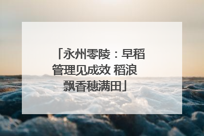 永州零陵：早稻管理见成效 稻浪飘香穗满田