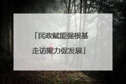 民政赋能强根基 走访聚力促发展