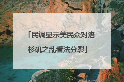 民调显示美民众对洛杉矶之乱看法分裂