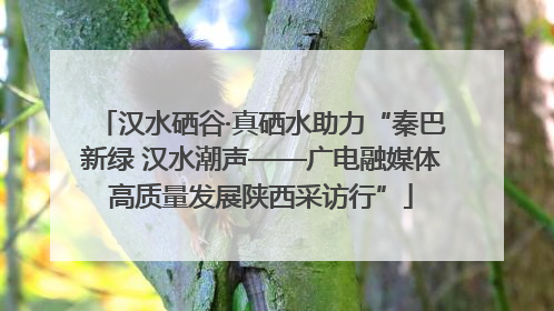 汉水硒谷·真硒水助力“秦巴新绿 汉水潮声——广电融媒体高质量发展陕西采访行”