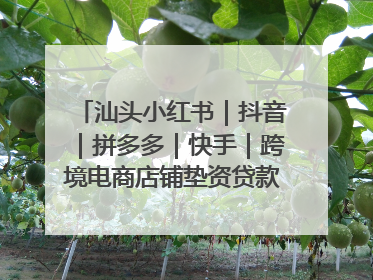 汕头小红书｜抖音｜拼多多｜快手｜跨境电商店铺垫资贷款企业-漫商易