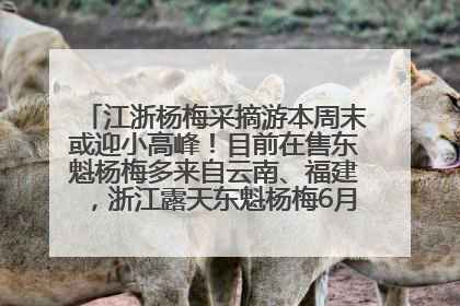 江浙杨梅采摘游本周末或迎小高峰！目前在售东魁杨梅多来自云南、福建，浙江露天东魁杨梅6月中旬大量上市