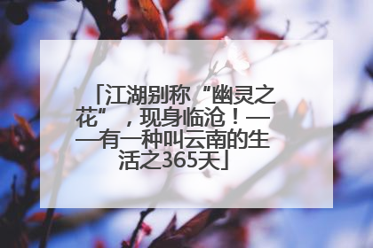 江湖别称“幽灵之花”，现身临沧！——有一种叫云南的生活之365天