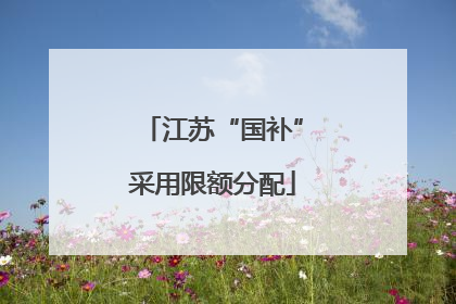 江苏“国补”采用限额分配