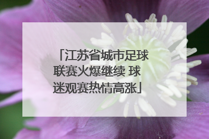 江苏省城市足球联赛火爆继续 球迷观赛热情高涨