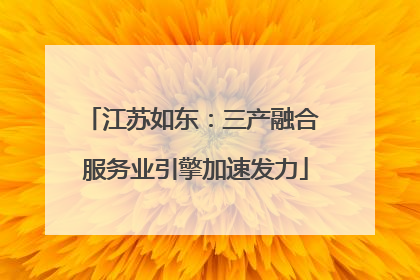 江苏如东：三产融合 服务业引擎加速发力