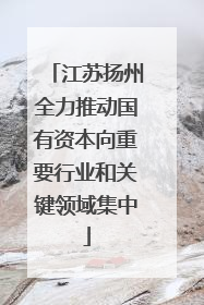 江苏扬州全力推动国有资本向重要行业和关键领域集中