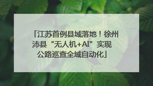 江苏首例县域落地！徐州沛县“无人机+AI”实现公路巡查全域自动化
