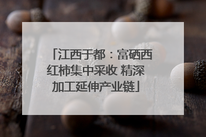 江西于都：富硒西红柿集中采收 精深加工延伸产业链