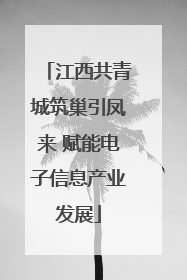 江西共青城筑巢引凤来 赋能电子信息产业发展