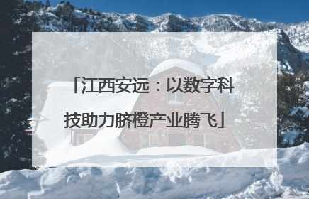 江西安远:以数字科技助力脐橙产业腾飞