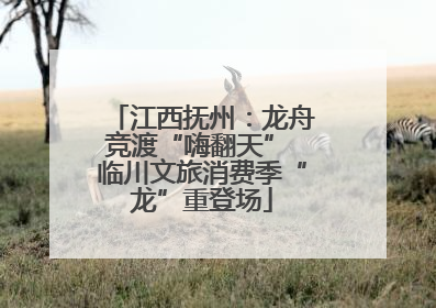 江西抚州：龙舟竞渡“嗨翻天” 临川文旅消费季“龙”重登场