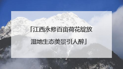 江西永修百亩荷花绽放 湿地生态美景引人醉