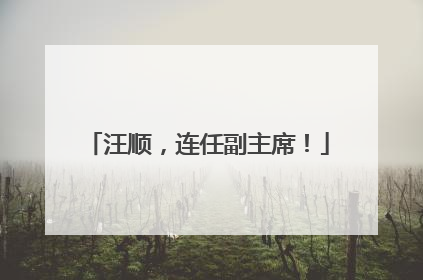 汪顺，连任副主席！