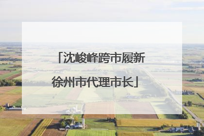 沈峻峰跨市履新徐州市代理市长