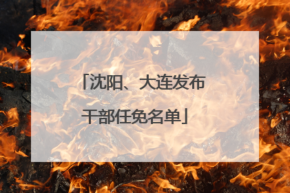 沈阳、大连发布干部任免名单