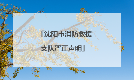 沈阳市消防救援支队严正声明