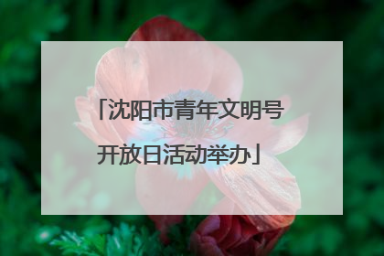 沈阳市青年文明号开放日活动举办