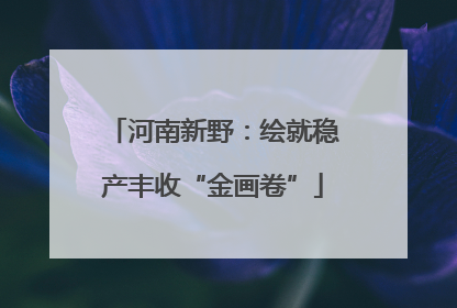 河南新野：绘就稳产丰收“金画卷”