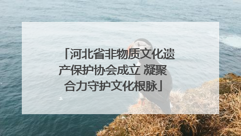 河北省非物质文化遗产保护协会成立 凝聚合力守护文化根脉