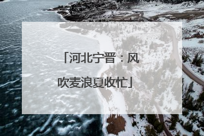 河北宁晋：风吹麦浪夏收忙