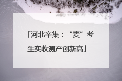 河北辛集：“麦”考生实收测产创新高