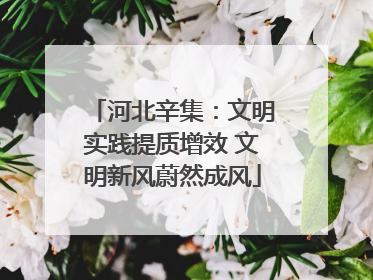 河北辛集：文明实践提质增效 文明新风蔚然成风