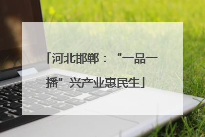 河北邯郸：“一品一播”兴产业惠民生