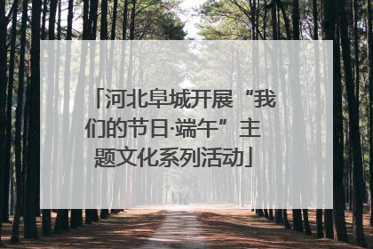 河北阜城开展“我们的节日·端午”主题文化系列活动