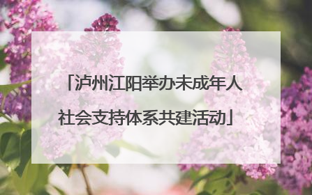 泸州江阳举办未成年人社会支持体系共建活动