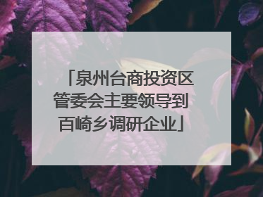 泉州台商投资区管委会主要领导到百崎乡调研企业