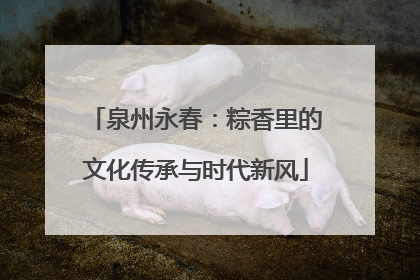 泉州永春：粽香里的文化传承与时代新风