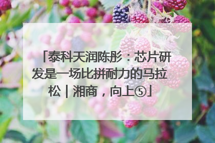 泰科天润陈彤：芯片研发是一场比拼耐力的马拉松｜湘商，向上⑤