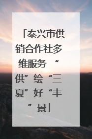 泰兴市供销合作社多维服务 “供”绘“三夏”好“丰”景