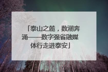 泰山之麓，数潮奔涌——数字强省融媒体行走进泰安
